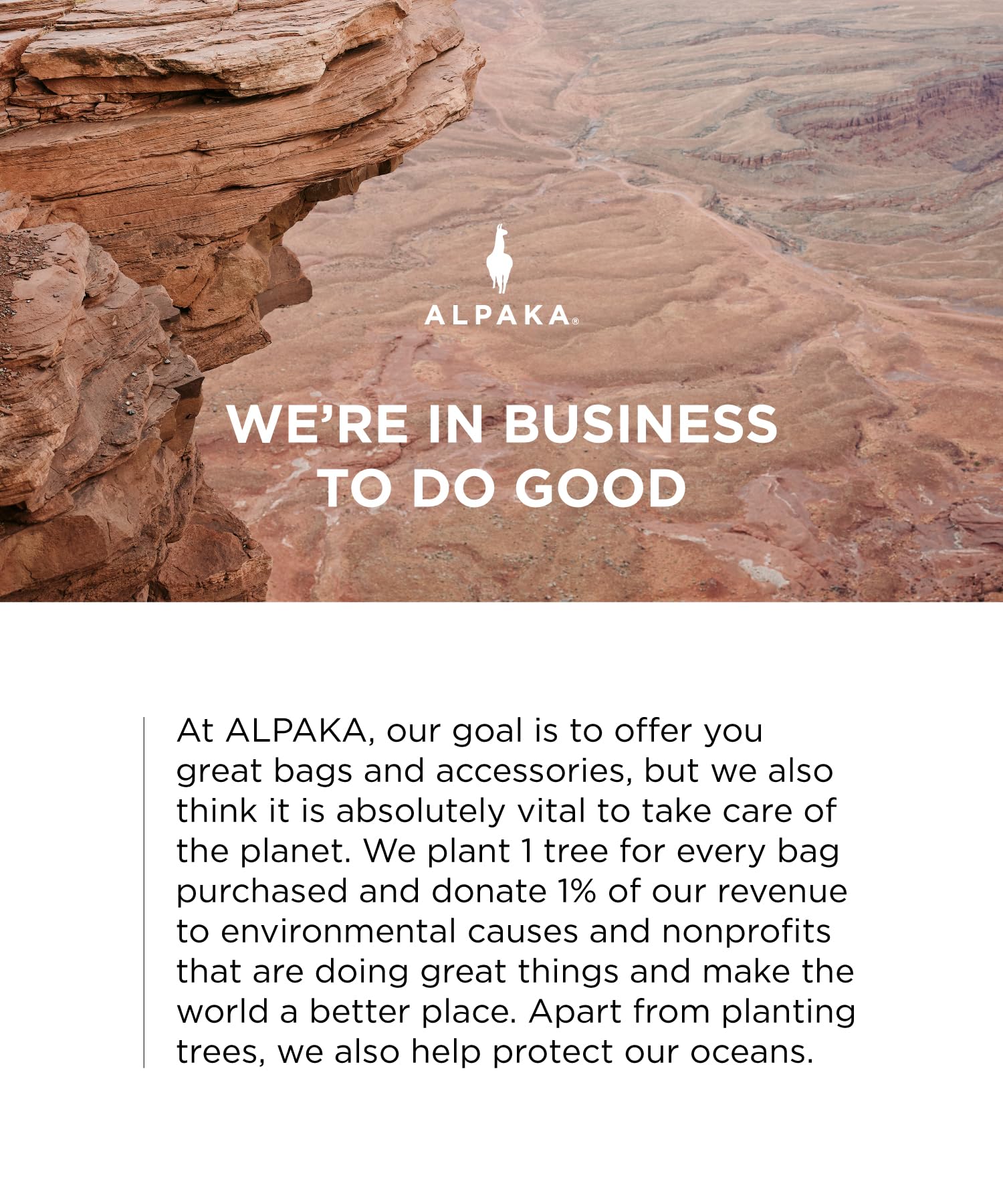 ALPAKA HUB USB Lanyard, Type-C to USB-C Connector Cable, 60W USB C Charger Cable with Magnetic Clip 3 - ft, Type C USB Cable for iPhone 15 & 16 Series, iPad mini 6 & Pro 2021, MacBook Pro 2020 - Image 6